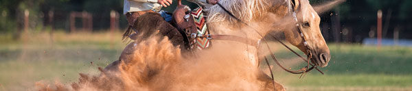 FILES2f20142f072f0722_05.jpg.jpg