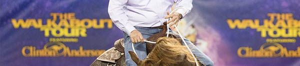 FILES2f20152f062f0616_02.jpg.jpg