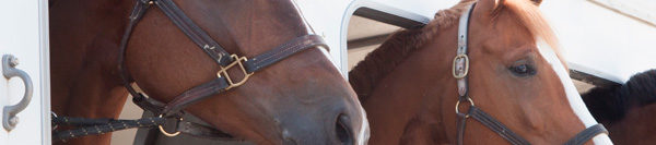FILES2f20162f042f0405_06a.jpg.jpg