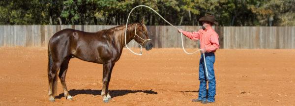 Head-Shy_A-Fundamental-Fix-Part-1