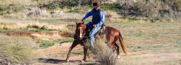 Turn-a-Spook-into-a-Training-Opportunity