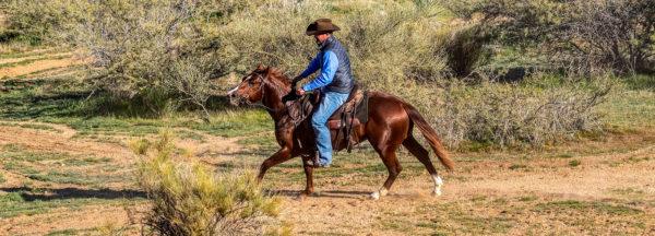How-to-Avoid-Creating-a-Barn-Sour-Horse