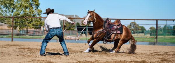 the-more-you-pick-yourself-up-the-better-your-groundwork-gets